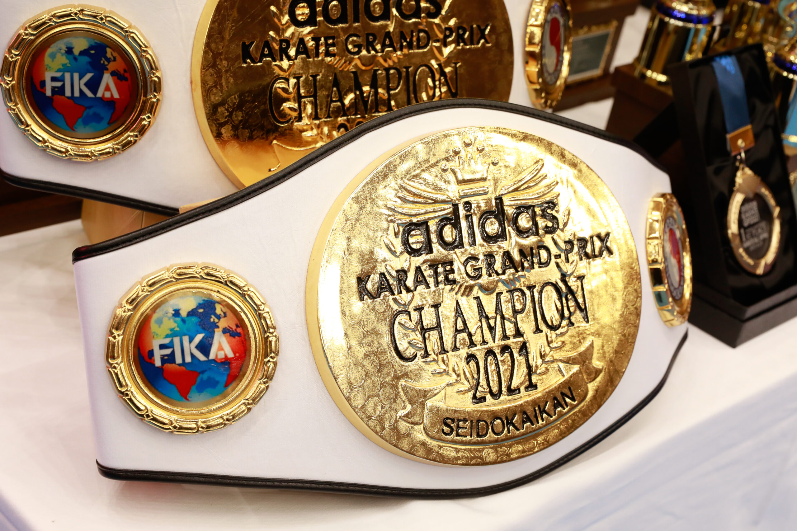 adidas SEIDO KARATE GRAND PRIX NOVA in KYOTO2026 | 正道会館GSJ